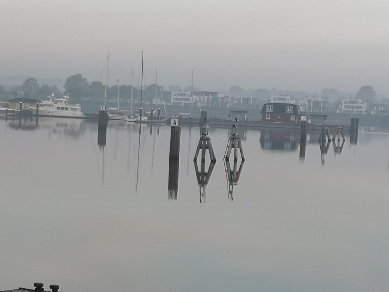 Hafen im Nebel